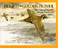 Flight of the Golden Plover